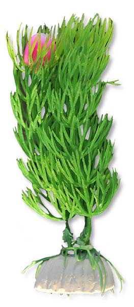 c4c8943f1998fb4a6a1b2e2c4f68997b