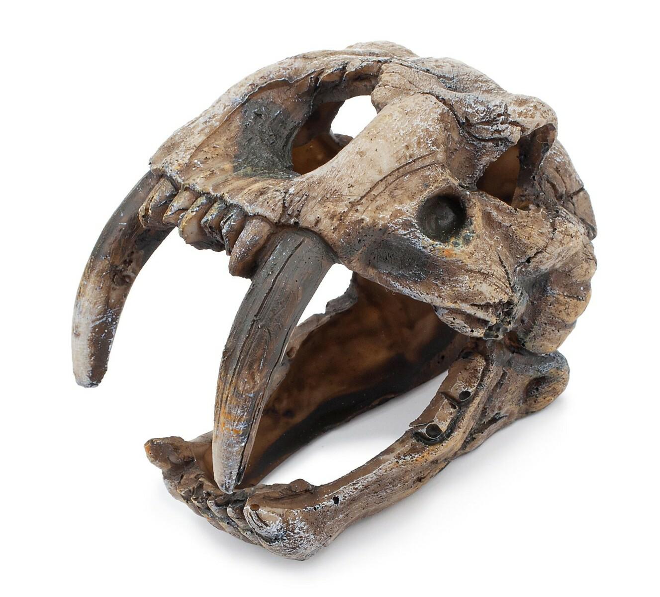 c50aa54c2d8e6d869045704a46ee91f4