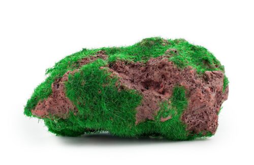 c5c0eaf2490ff9d6e2b30786ca79c950