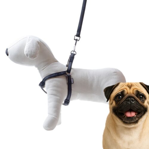 ca5844457ed053c56cdc832e13ff7ce6