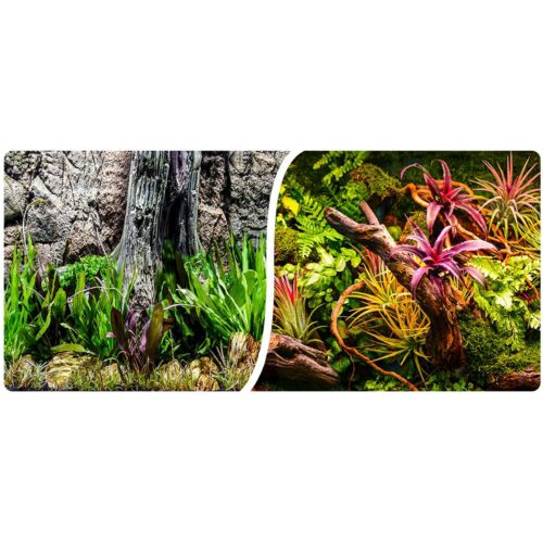 d36be4aa04e902063d64a3a1359962ba