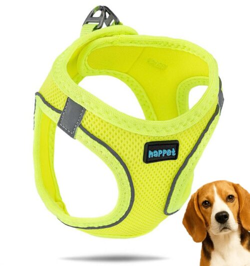 d53add07053beda78df25f43d9cab8e5