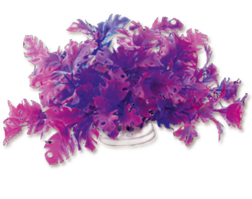 d74970806fa257ddf5a537cdda63aa34