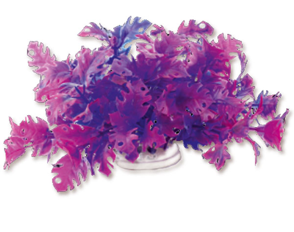 d74970806fa257ddf5a537cdda63aa34