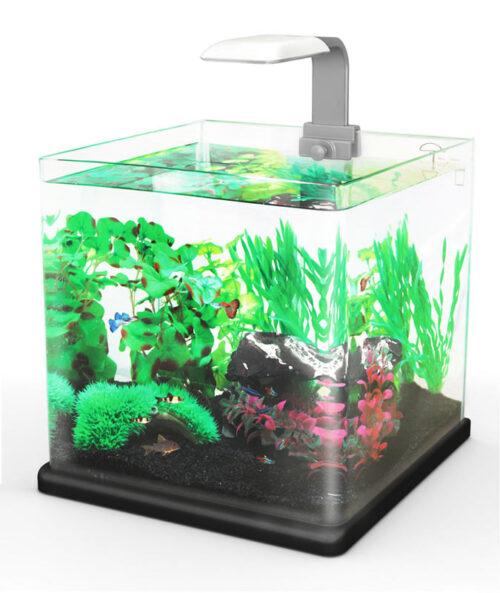 d8e10cb249f0283e5fe7d5709ae5338e