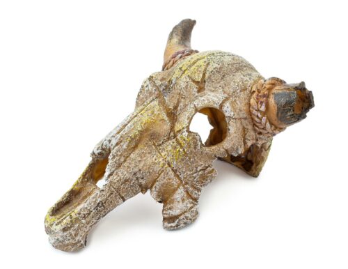 d8ff1e9494c98241f4d338b681479878