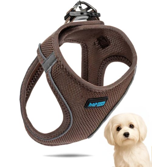 d94c3385aab0ee4a4c3a0acecb98cf28