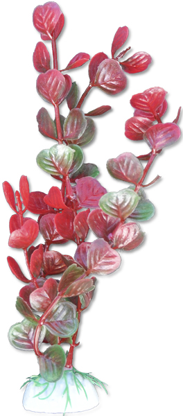 dbce42037d957799a6972a78d8ff5557