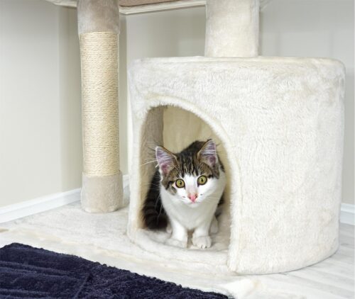 drapak-dla-kota-76-cm-ct08