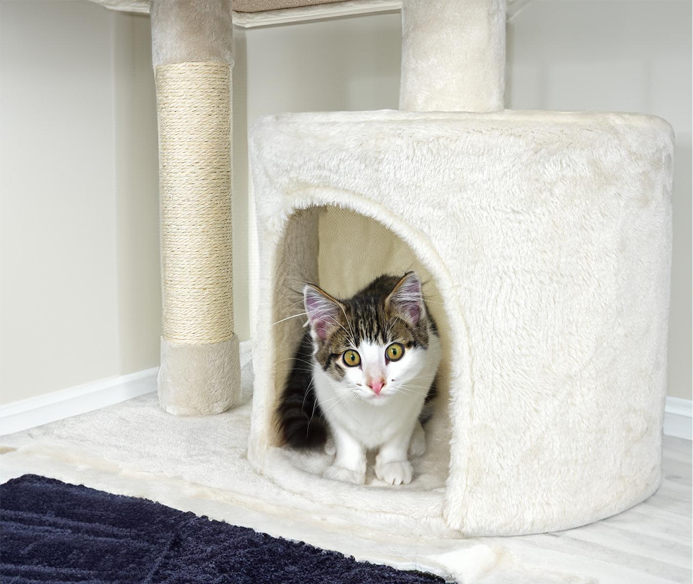 drapak-dla-kota-76-cm-ct08