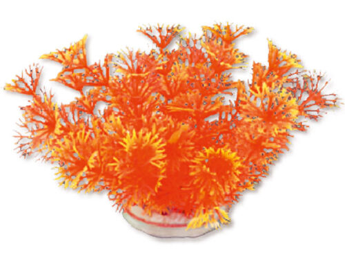 e15d7384de2bf0dde4c1e9a883ccdc5a