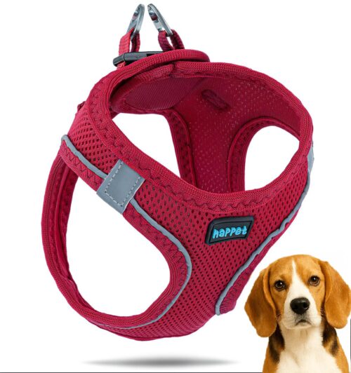 e15f4e0fb2467a30f25ea40e15290542