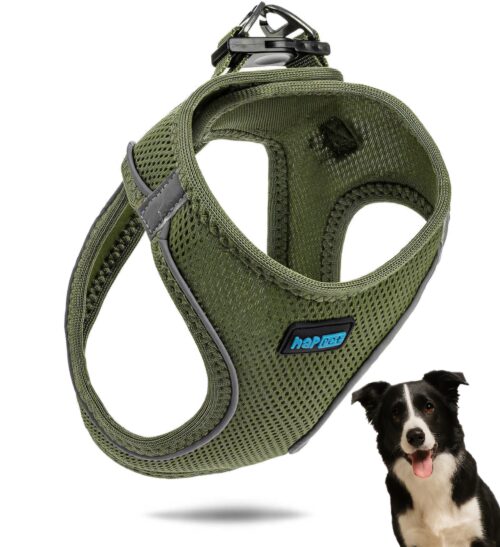 e17fc71b43ff71f60a0ce2f9cc916557