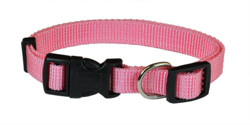 e23b71ab6a69fe71ee5e17b7746f11bc