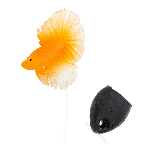 e311e1c8dc696deae769bbc81a97604a