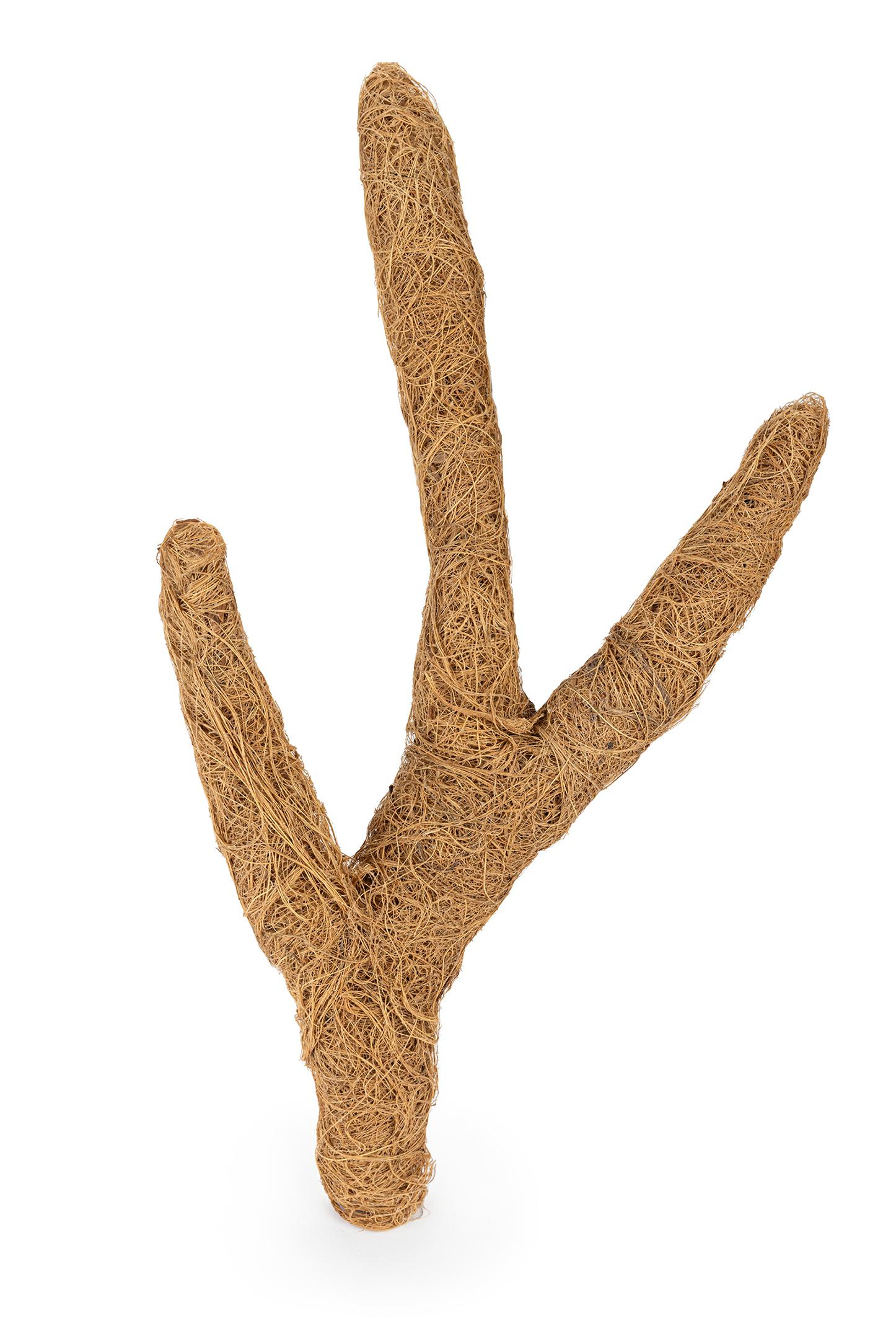 e3a4bdcf9bcf1fc2284720599302c85a