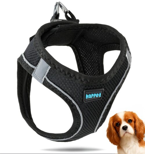 e40aed45aafc83173ee7e70bbd46c474