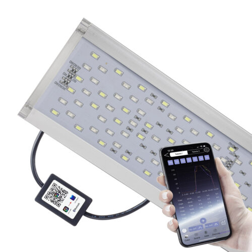 e97b16f1d9b275a49fce1ddf694f3012