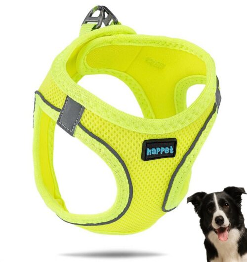 ea1e0ee2963d44f1bfc9e1ed7a8a7e00