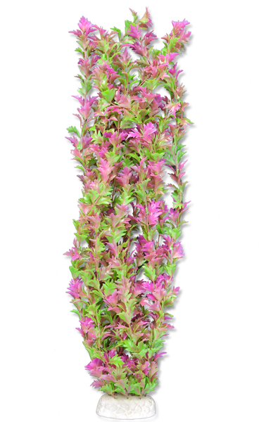 eb5b4258beb463847840b3bd7677aed2