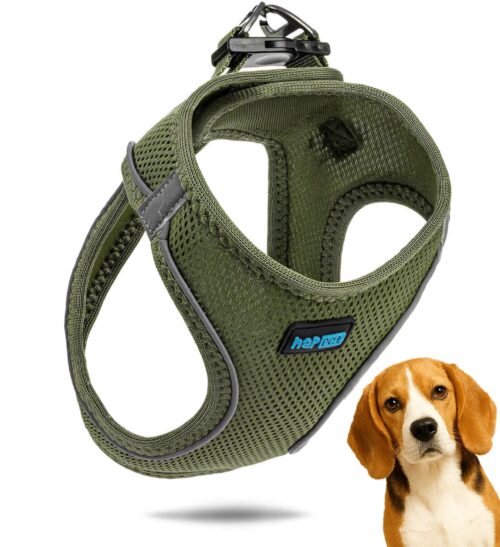 ec82520480fbafd76aa2e3b6744bcc84