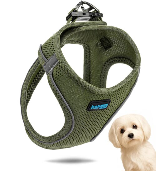 ee3af25b230f9605987fdf0864e238c7