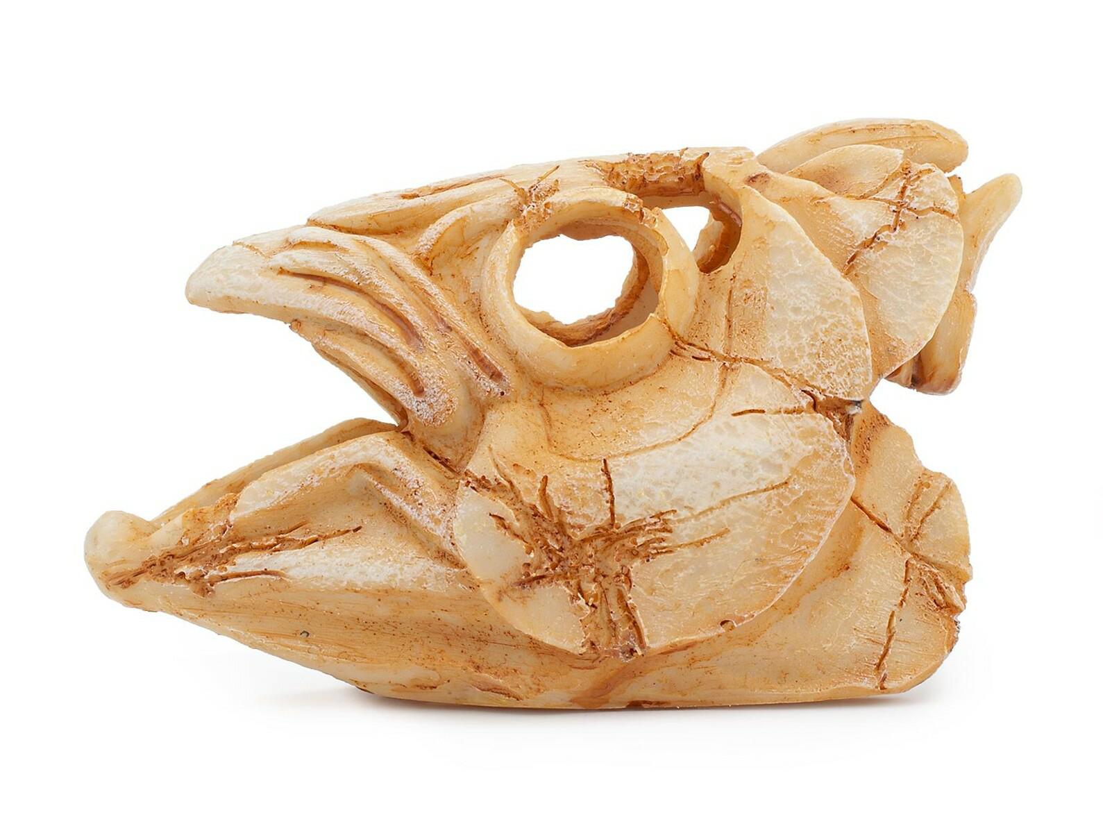 f3ecc256a7dfdf3794f201ccafb5a469