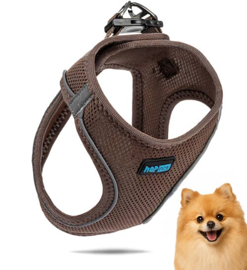 f51fc23f93c32b8f6611883d50f02754