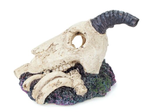 f66ced21e3e8dfc5cd190c1916848a1e