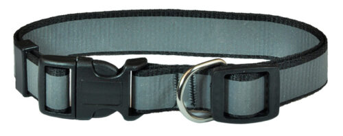 fa88abb4260029858a560a8b08a081bd