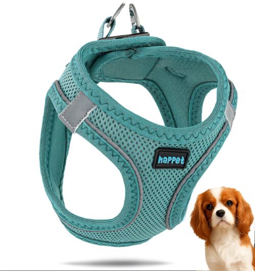 fd7a7dadbee785c23707ef413e3569ae