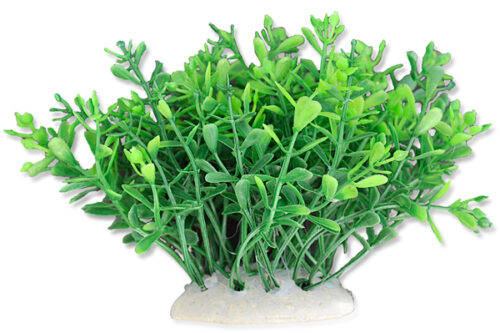 fe9e6c96f3da264b70d16ba525656e7f