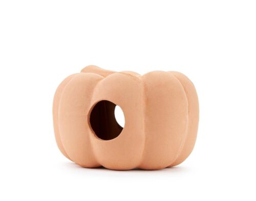 fe9fb388a587236601a1a26754126a7f