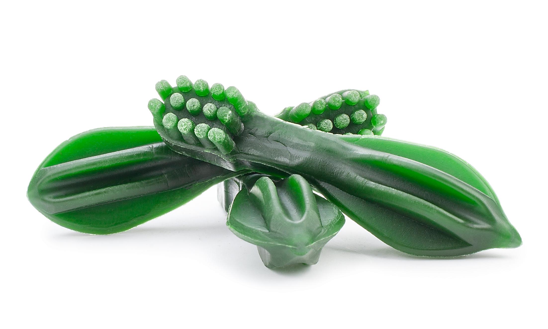 gm06-dental-szczoteczka-mint-500g