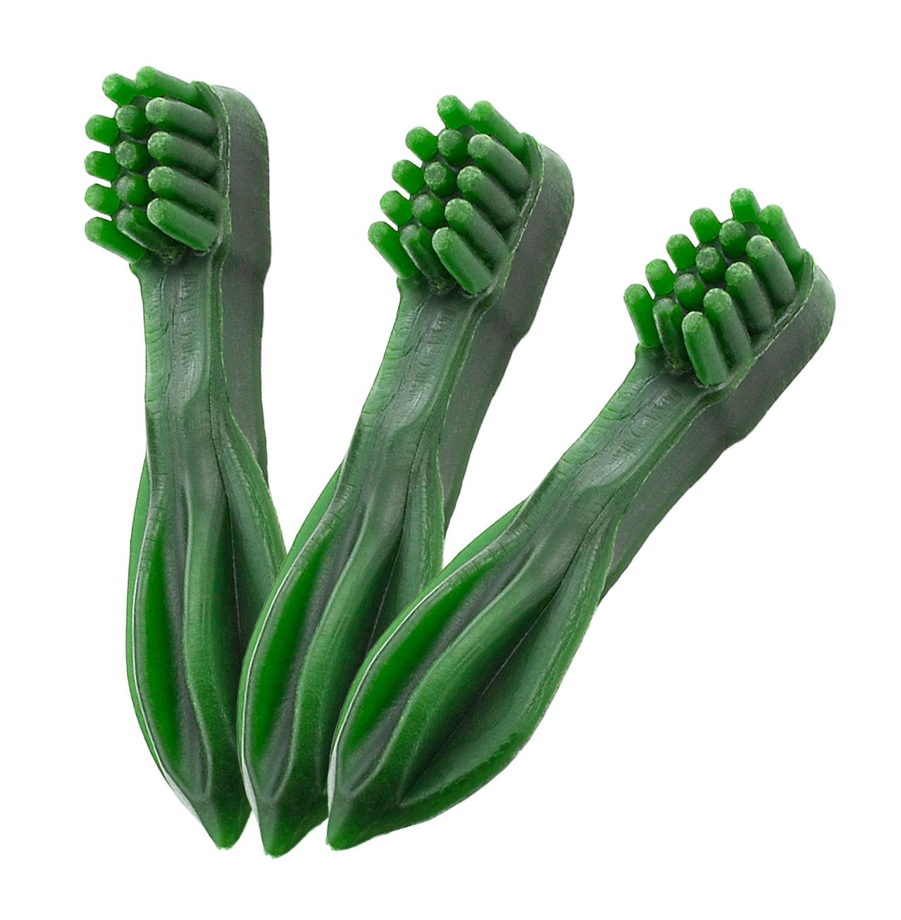 gm06-dental-szczoteczka-mint-500g