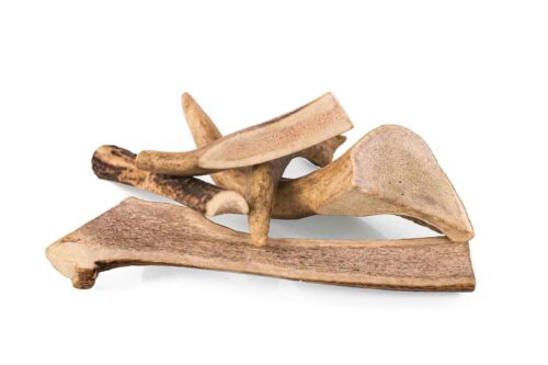 gryzak-z-poroza-jelenia-l-easy