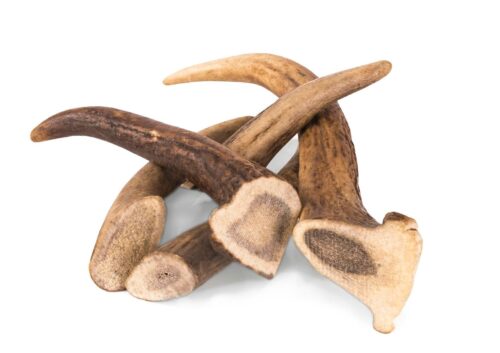 gryzak-z-poroza-jelenia-m-hard