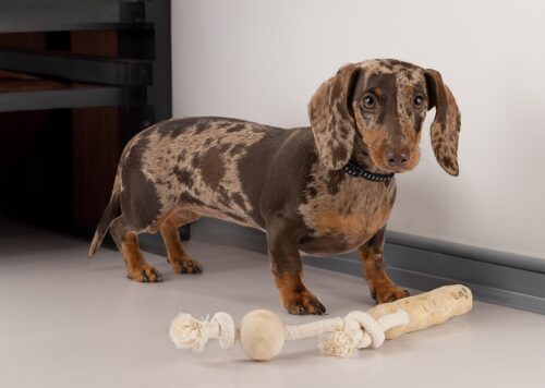 hn48-szarpak-bawelniany-z-drzewa