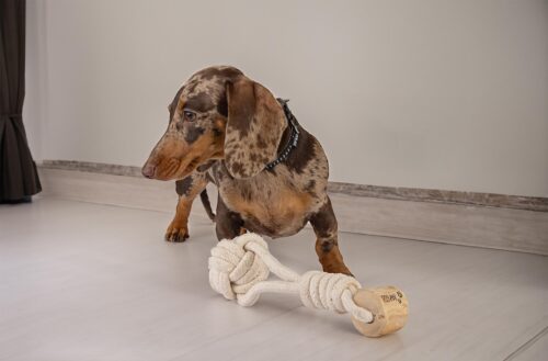 hn51-szarpak-bawelniany-z-drzewa