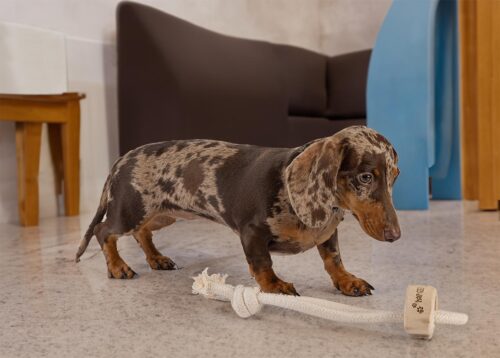 hn55-szarpak-bawelniany-z-drzewa