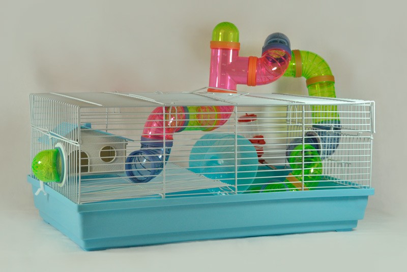 klatka-gremi-18b-bialas2903b