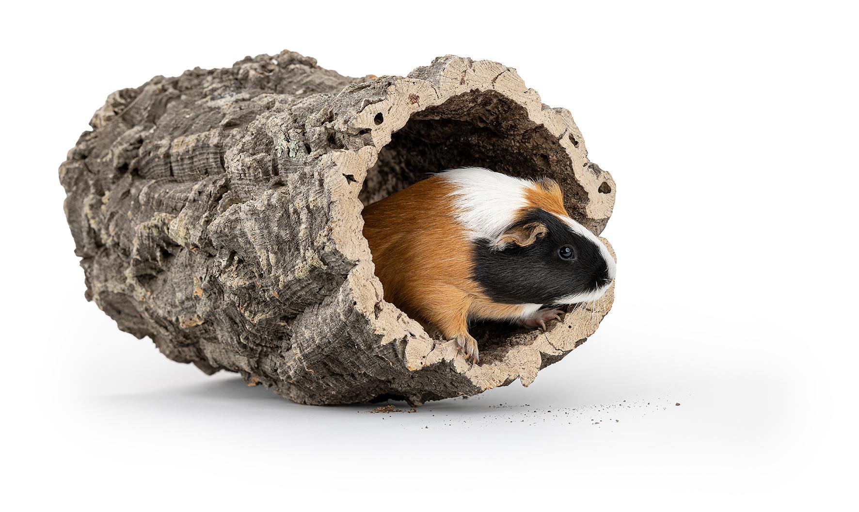 korek-tuba-xxl80-C3B8-do-35cm-dl-80cm