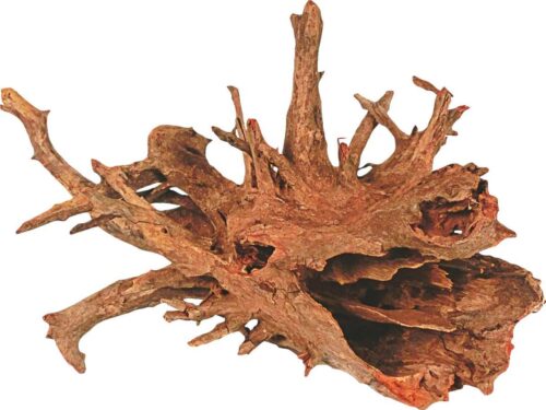 korzen-corbo-m-happet-1szt-30-40cm