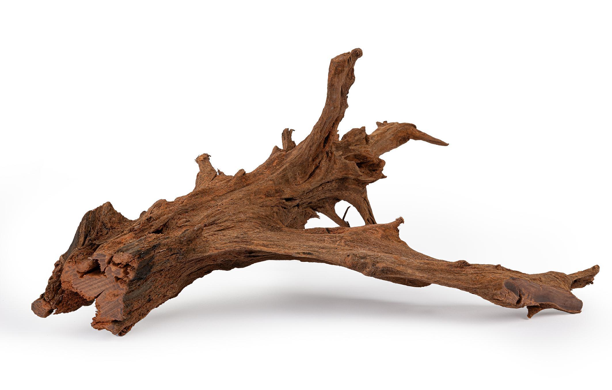 korzen-mangrowiec-xxl-happet-ok-150-cm