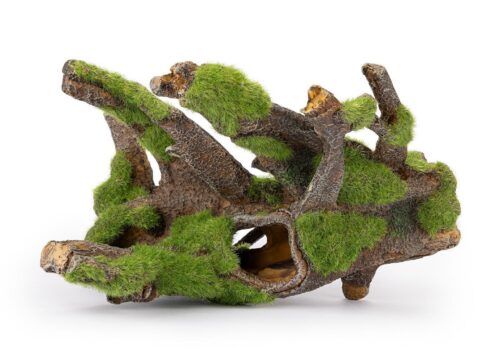 korzen-z-mchem-do-akwarium-r191