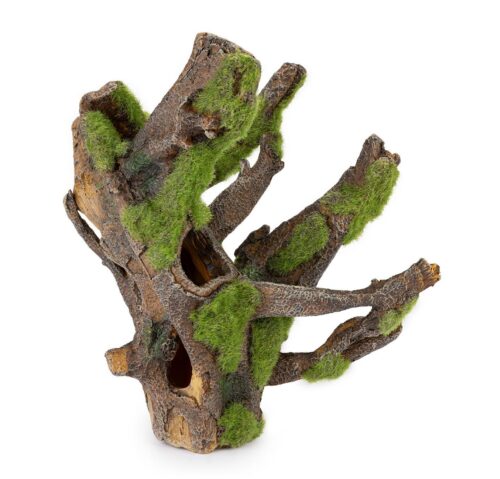 korzen-z-mchem-do-akwarium-r191