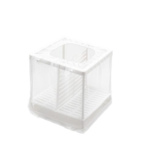 kotnik-siatkowy-s-happet