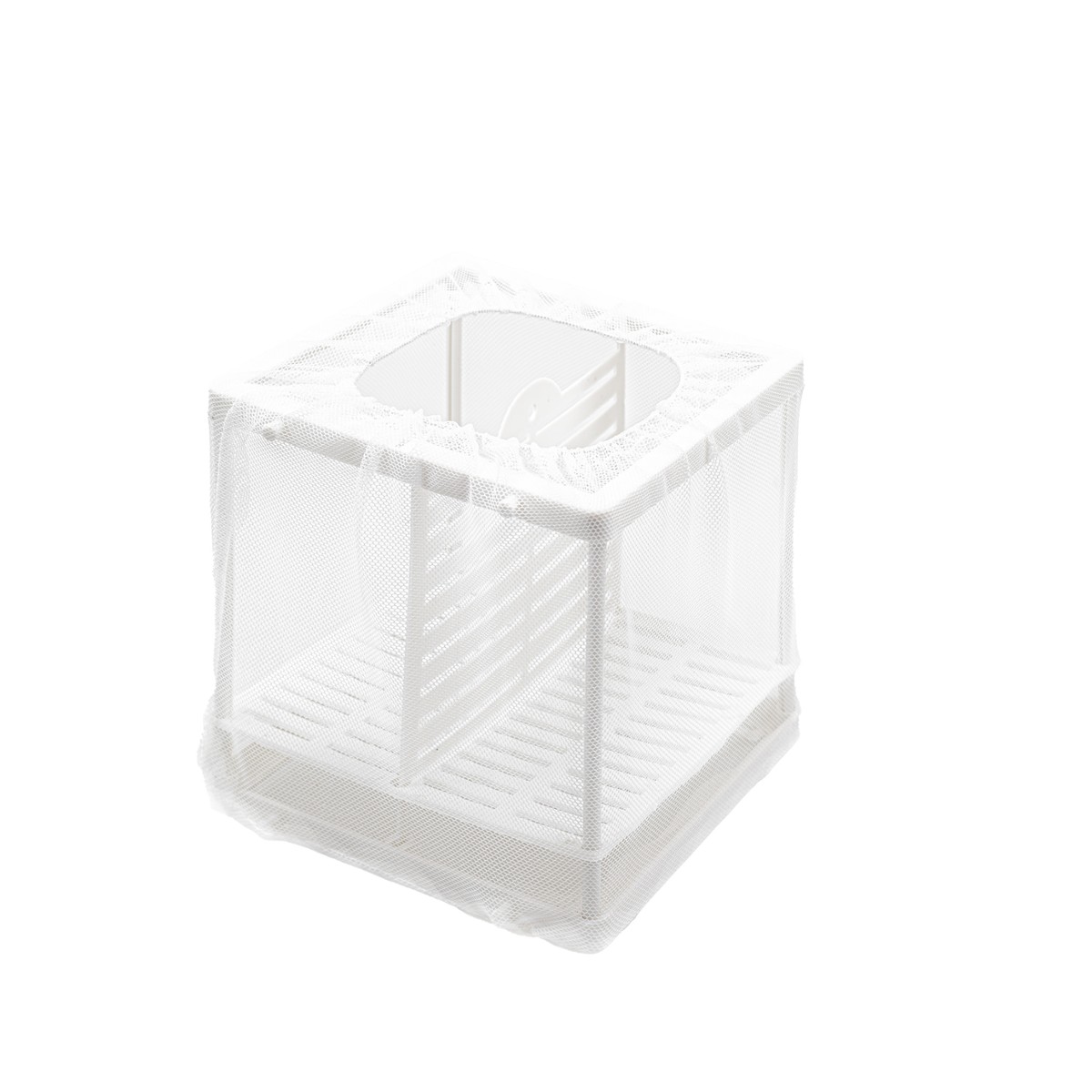 kotnik-siatkowy-s-happet