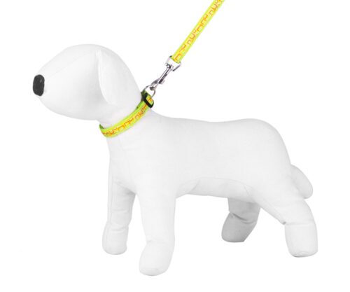 kpl-smycz-obroza-nt-happet-sd42-kw-ziel-1-5-cm