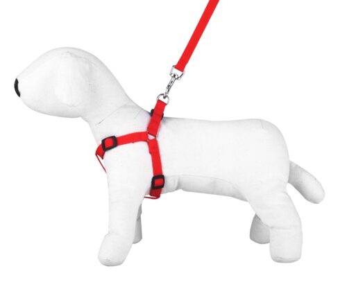 kpl-smycz-szel-glad-czerw-1-5cmss52